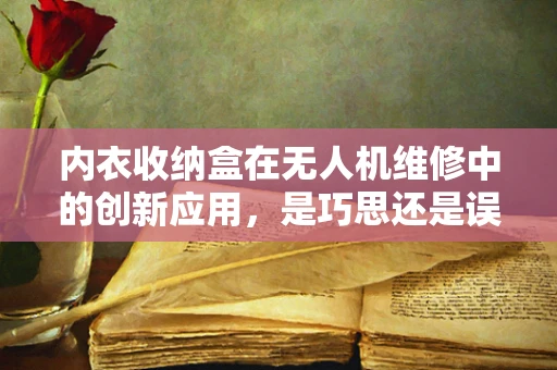 内衣收纳盒在无人机维修中的创新应用，是巧思还是误用？
