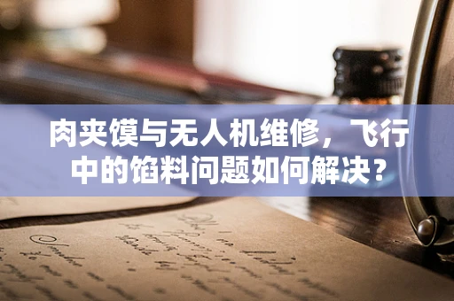 肉夹馍与无人机维修，飞行中的馅料问题如何解决？