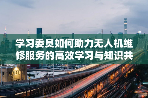 学习委员如何助力无人机维修服务的高效学习与知识共享？