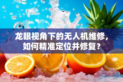 龙眼视角下的无人机维修，如何精准定位并修复？