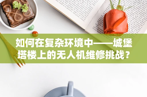 如何在复杂环境中——城堡塔楼上的无人机维修挑战？