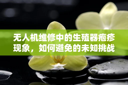 无人机维修中的生殖器疱疹现象，如何避免的未知挑战？