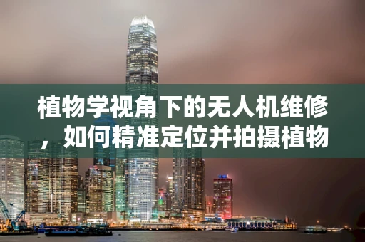 植物学视角下的无人机维修，如何精准定位并拍摄植物样本？