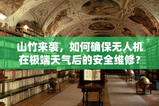 山竹来袭，如何确保无人机在极端天气后的安全维修？