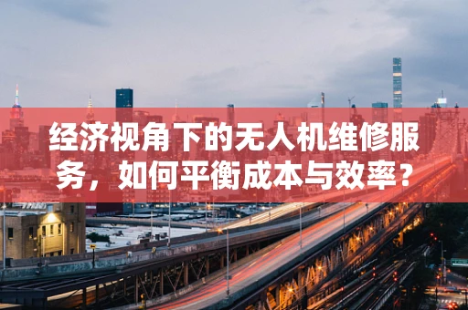 经济视角下的无人机维修服务，如何平衡成本与效率？