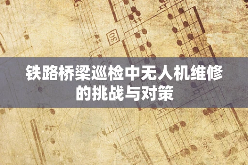 铁路桥梁巡检中无人机维修的挑战与对策