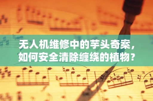 无人机维修中的芋头奇案，如何安全清除缠绕的植物？