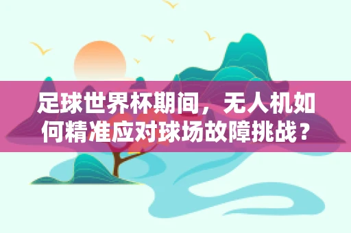 足球世界杯期间，无人机如何精准应对球场故障挑战？