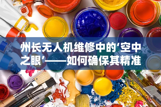 州长无人机维修中的‘空中之眼’——如何确保其精准导航与稳定飞行？