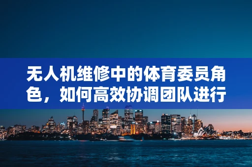 无人机维修中的体育委员角色，如何高效协调团队进行设备维护？