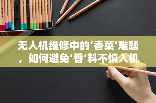 无人机维修中的‘香菜’难题，如何避免‘香’料不慎入机？