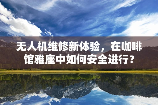 无人机维修新体验，在咖啡馆雅座中如何安全进行？