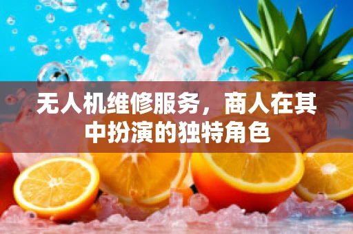 无人机维修服务，商人在其中扮演的独特角色