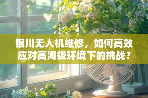 银川无人机维修，如何高效应对高海拔环境下的挑战？