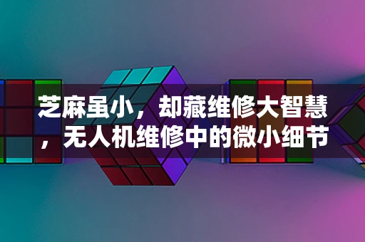 芝麻虽小，却藏维修大智慧，无人机维修中的微小细节不容忽视