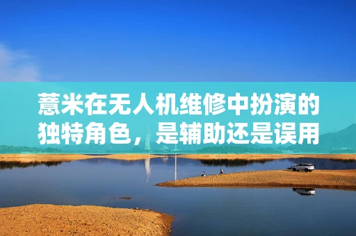 薏米在无人机维修中扮演的独特角色，是辅助还是误用？