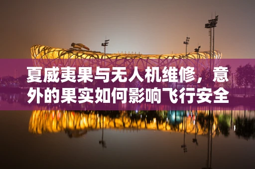 夏威夷果与无人机维修，意外的果实如何影响飞行安全？