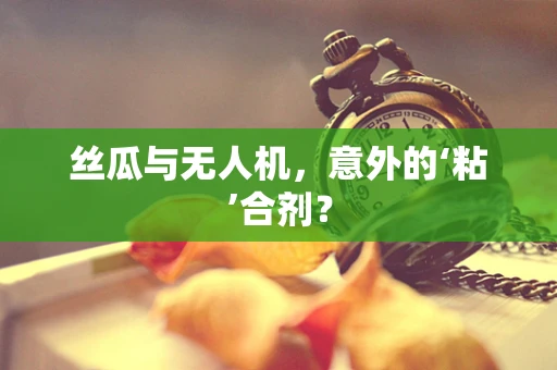 丝瓜与无人机，意外的‘粘’合剂？