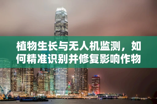 植物生长与无人机监测，如何精准识别并修复影响作物健康的空中威胁？