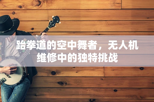 跆拳道的空中舞者，无人机维修中的独特挑战