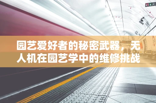 园艺爱好者的秘密武器，无人机在园艺学中的维修挑战