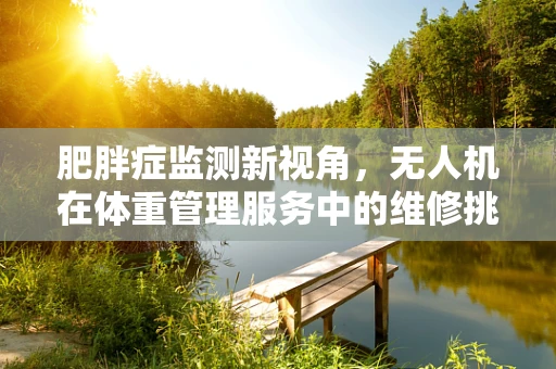 肥胖症监测新视角，无人机在体重管理服务中的维修挑战？