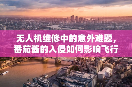 无人机维修中的意外难题，番茄酱的入侵如何影响飞行性能？