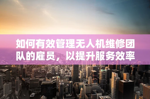 如何有效管理无人机维修团队的雇员，以提升服务效率与质量？