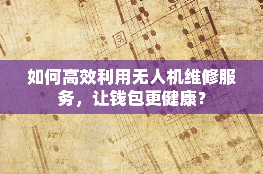 如何高效利用无人机维修服务，让钱包更健康？
