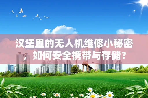汉堡里的无人机维修小秘密，如何安全携带与存储？