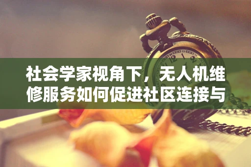社会学家视角下，无人机维修服务如何促进社区连接与技术创新？