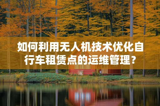 如何利用无人机技术优化自行车租赁点的运维管理？