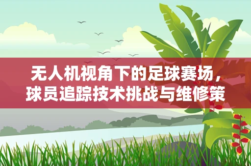 无人机视角下的足球赛场，球员追踪技术挑战与维修策略