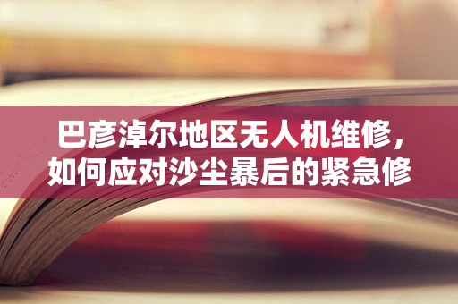 巴彦淖尔地区无人机维修，如何应对沙尘暴后的紧急修复？