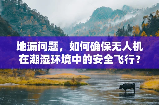 地漏问题，如何确保无人机在潮湿环境中的安全飞行？