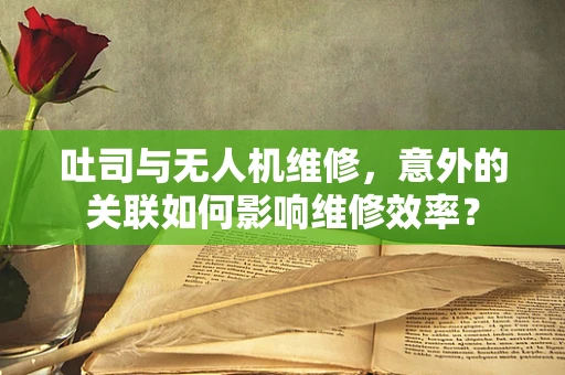 吐司与无人机维修，意外的关联如何影响维修效率？