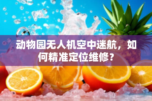 动物园无人机空中迷航，如何精准定位维修？