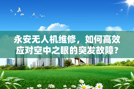 永安无人机维修，如何高效应对空中之眼的突发故障？