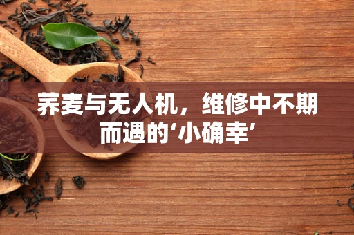 荞麦与无人机，维修中不期而遇的‘小确幸’
