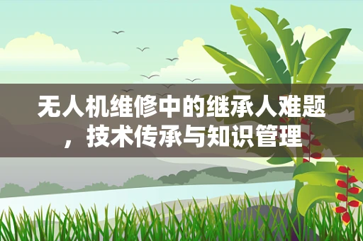 无人机维修中的继承人难题，技术传承与知识管理