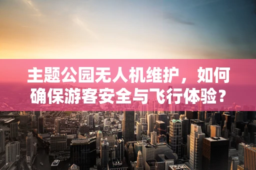 主题公园无人机维护，如何确保游客安全与飞行体验？