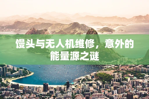 馒头与无人机维修，意外的能量源之谜