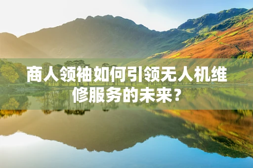 商人领袖如何引领无人机维修服务的未来？