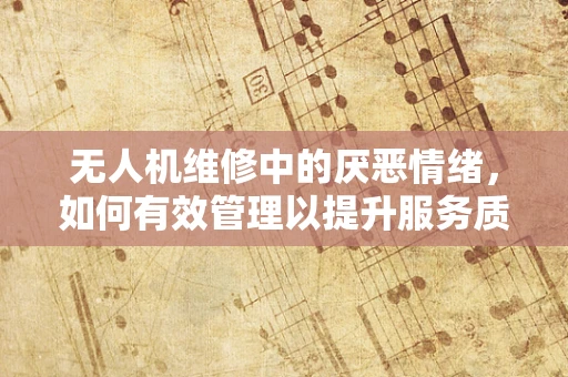 无人机维修中的厌恶情绪，如何有效管理以提升服务质量？