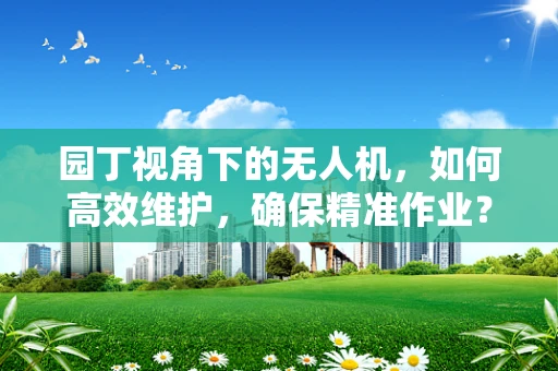 园丁视角下的无人机，如何高效维护，确保精准作业？