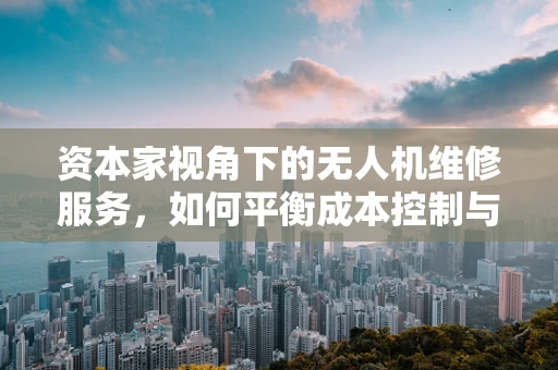 资本家视角下的无人机维修服务，如何平衡成本控制与技术创新？