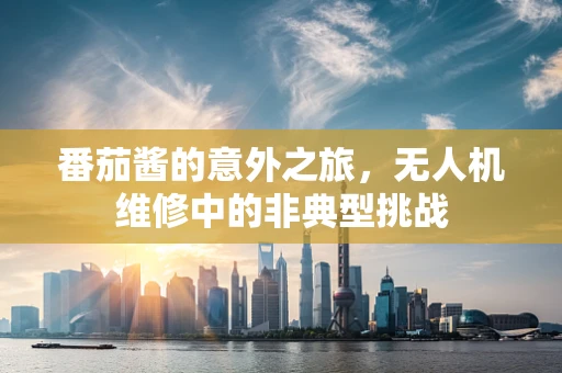 番茄酱的意外之旅，无人机维修中的非典型挑战