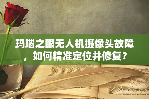 玛瑙之眼无人机摄像头故障，如何精准定位并修复？
