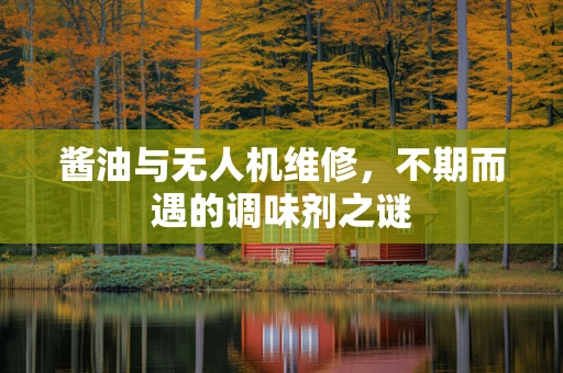 酱油与无人机维修，不期而遇的调味剂之谜