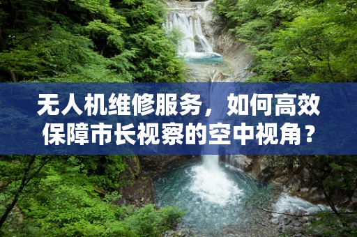 无人机维修服务，如何高效保障市长视察的空中视角？
